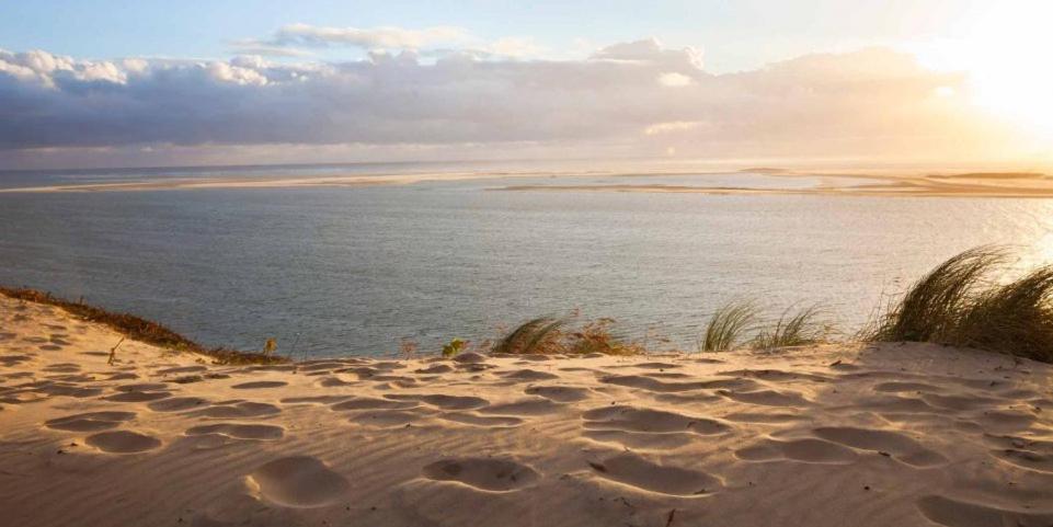 فندق A La Brise Du Ferret Lège-Cap-Ferret المظهر الخارجي الصورة